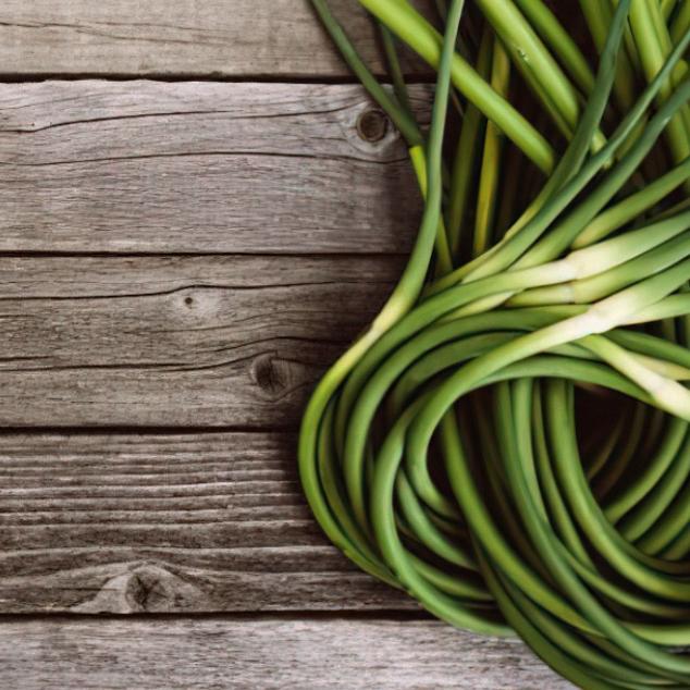 Fresh Garlic Sprouts - Nutrient-Rich & Delicious Garlic Greens
