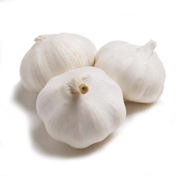 Premium Fresh White Garlic