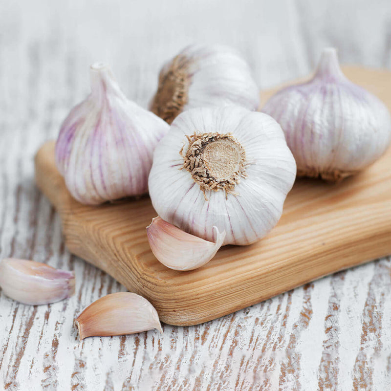 Premium Fresh Purple Garlic - Unique Flavour & Colour