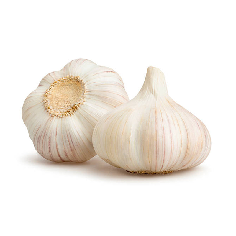 Premium Fresh White Garlic