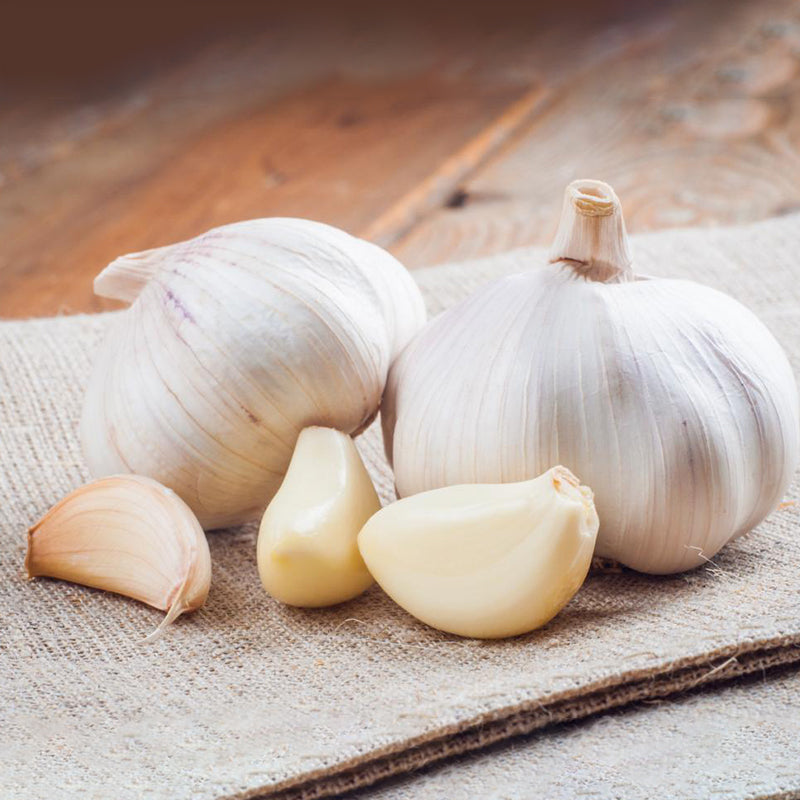 Premium Fresh White Garlic
